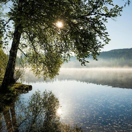 Ferienwohnung Am Schwellenweiher Фельдберг Екстер'єр фото