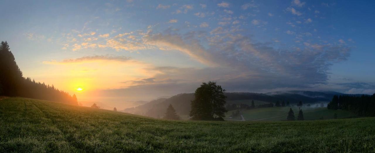 Ferienwohnung Am Schwellenweiher Фельдберг Екстер'єр фото