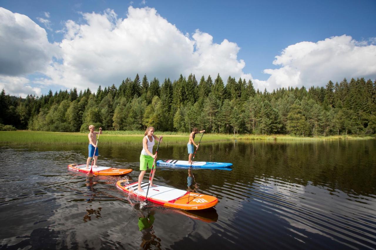 Ferienwohnung Am Schwellenweiher Фельдберг Екстер'єр фото