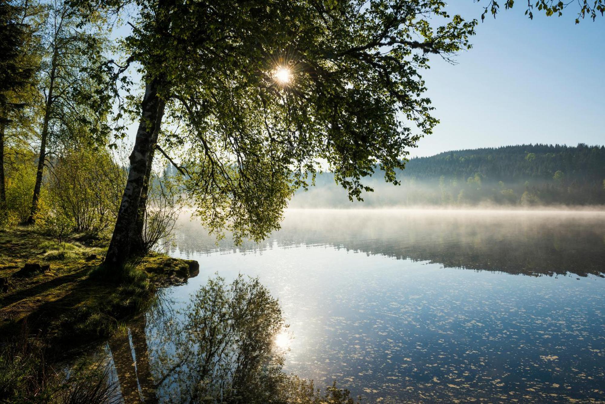 Ferienwohnung Am Schwellenweiher Фельдберг Екстер'єр фото