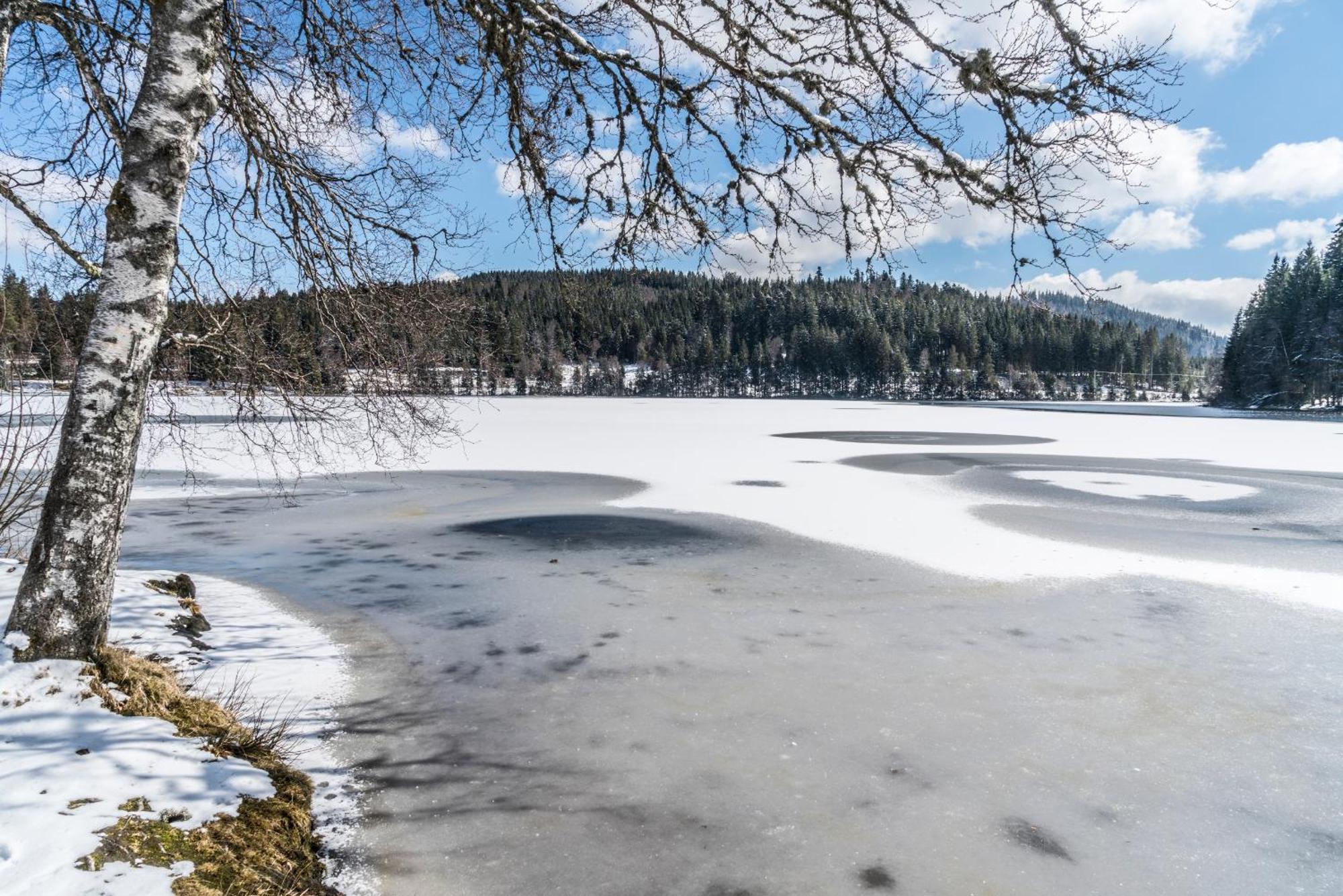 Ferienwohnung Am Schwellenweiher Фельдберг Екстер'єр фото